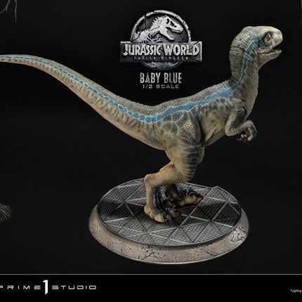 Baby Blue Jurassic World: Fallen Kingdom Prime Collectibles Statue 1/2  34 cm