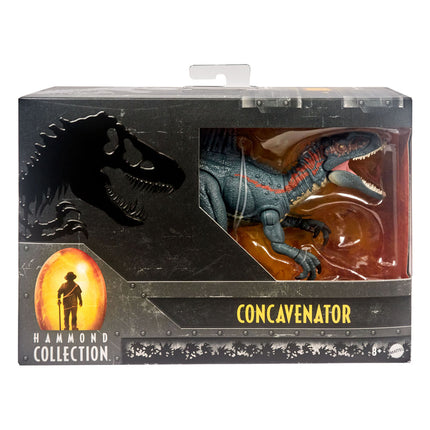 Concavenator Jurassic World Hammond Collection Action Figure 13 cm