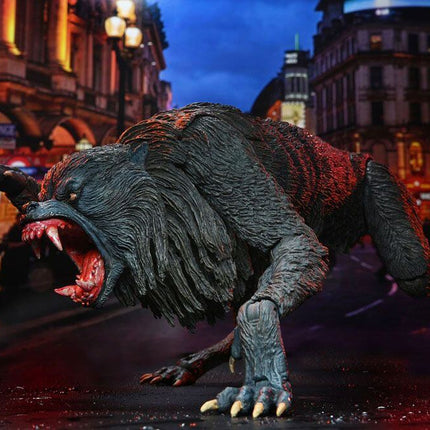 An American Werewolf In London Action Figure Ultimate Kessler Werewolf 18 cm NECA 04951 - JANUARY 2022